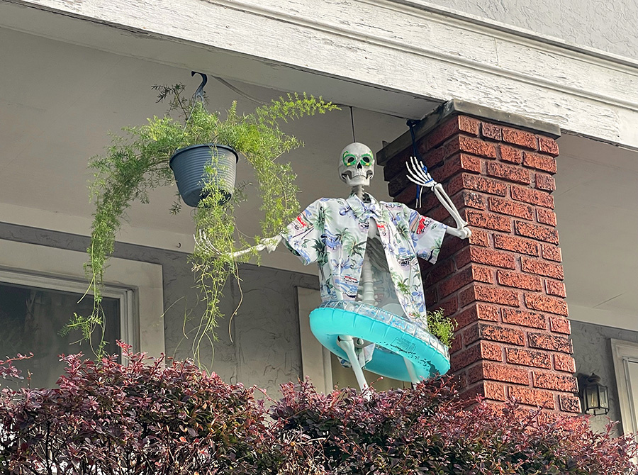 Summer skelly